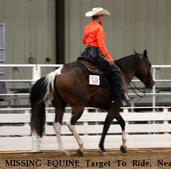 MISSING EQUINE Target To Ride, Near Olsburg, KS, 66520